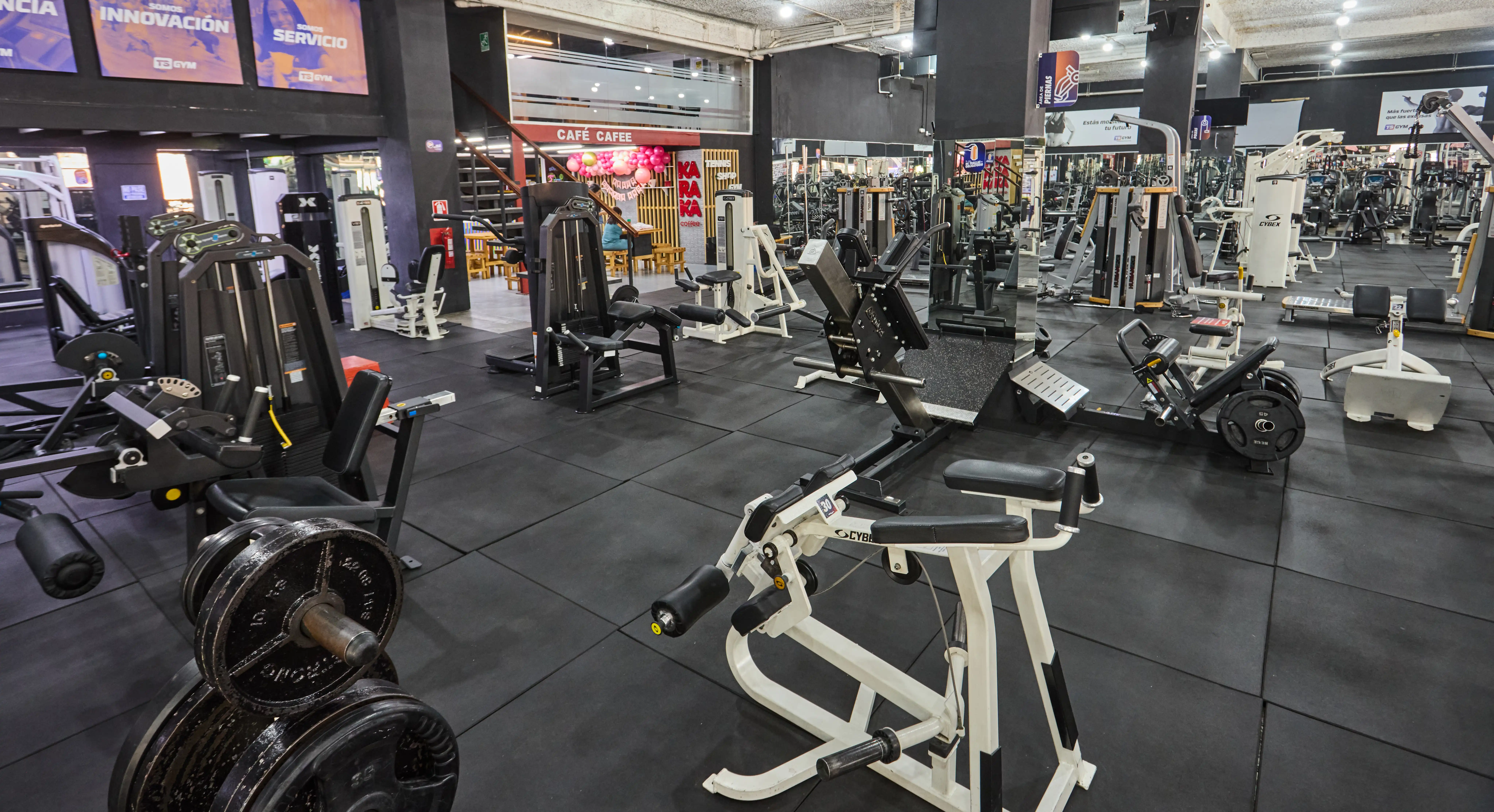 Sala de musculación